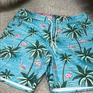 Tropical Flamingo Swim Shorts